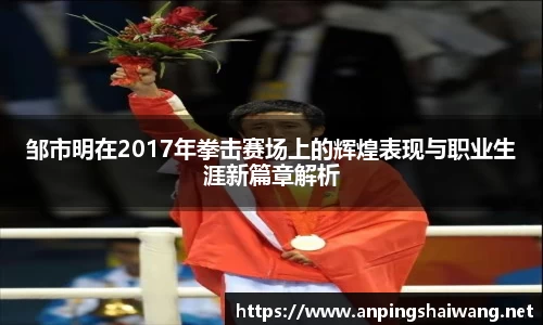 邹市明在2017年拳击赛场上的辉煌表现与职业生涯新篇章解析